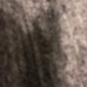 Meet your Posher, Daniela